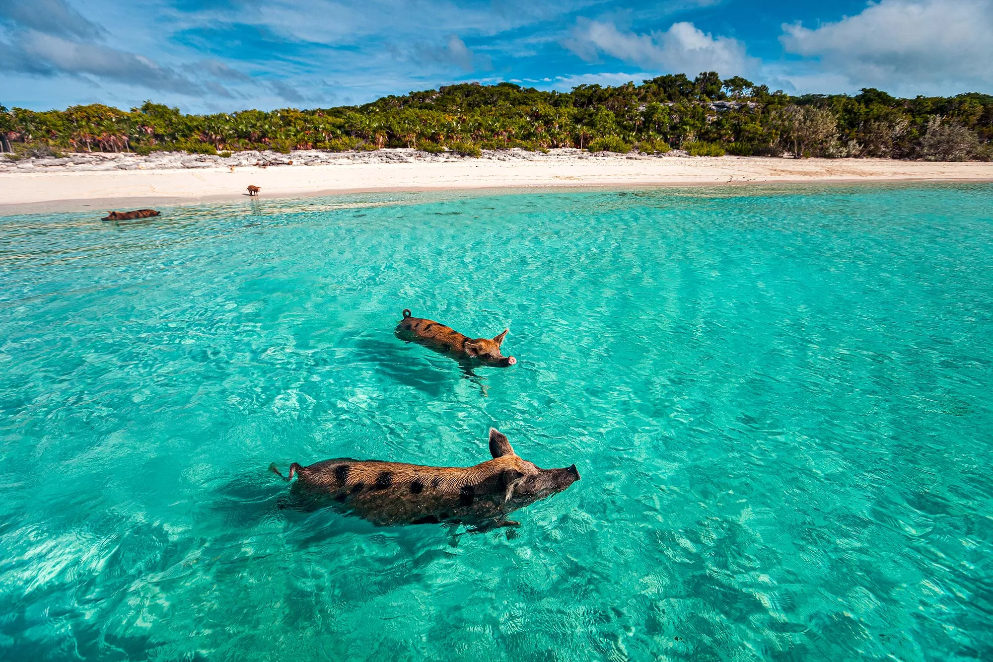 Staniel Cay and Big Major