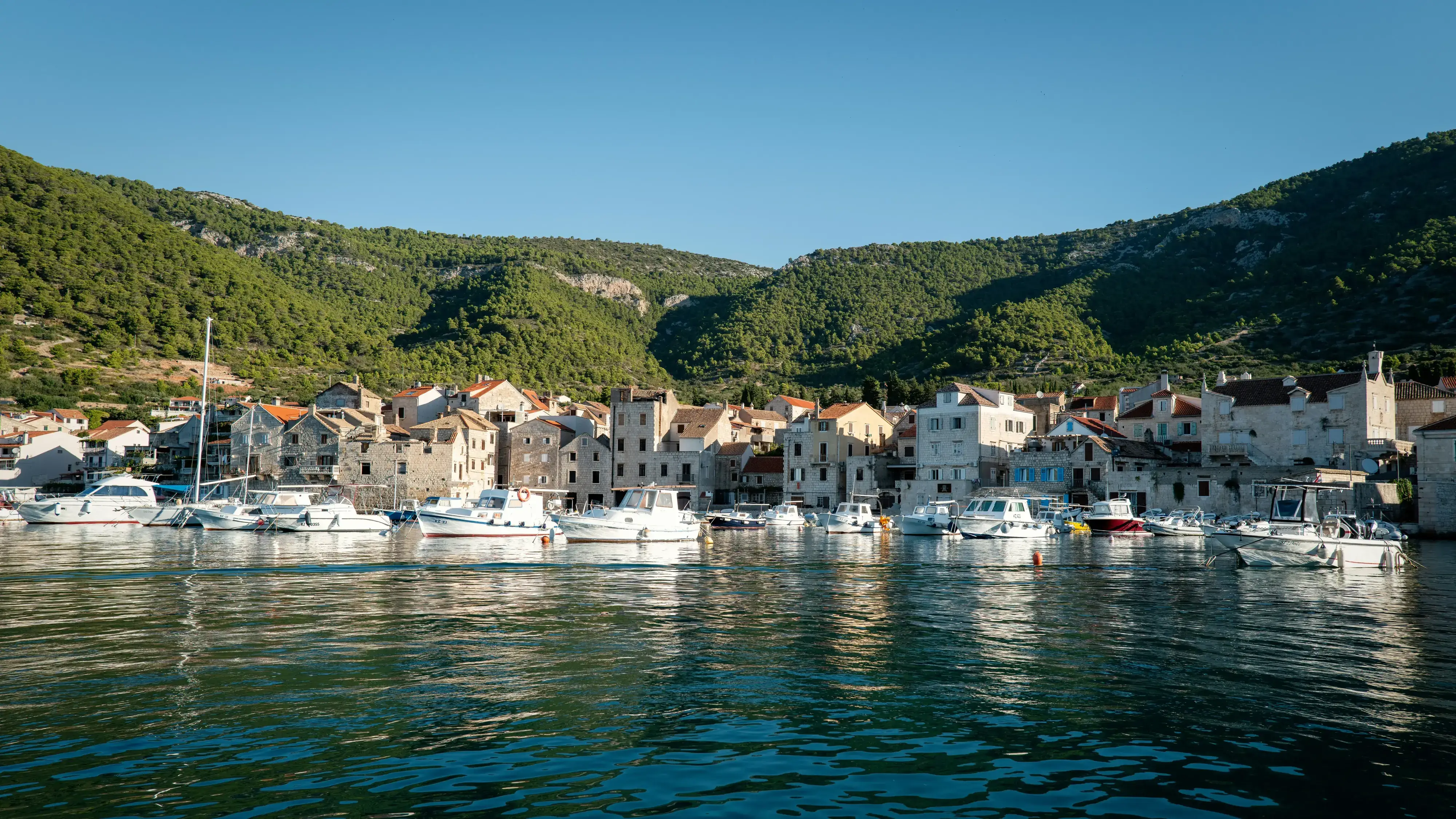 Vis