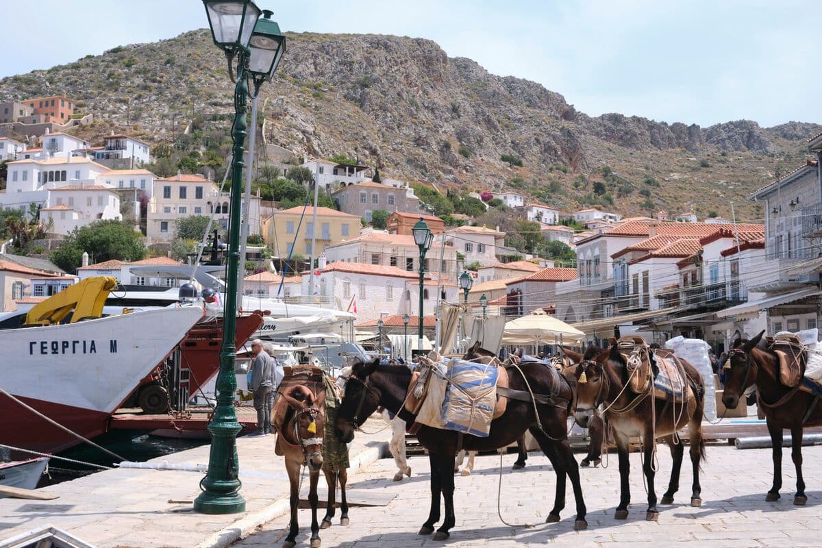 Hydra harbour, Saronic Gulf