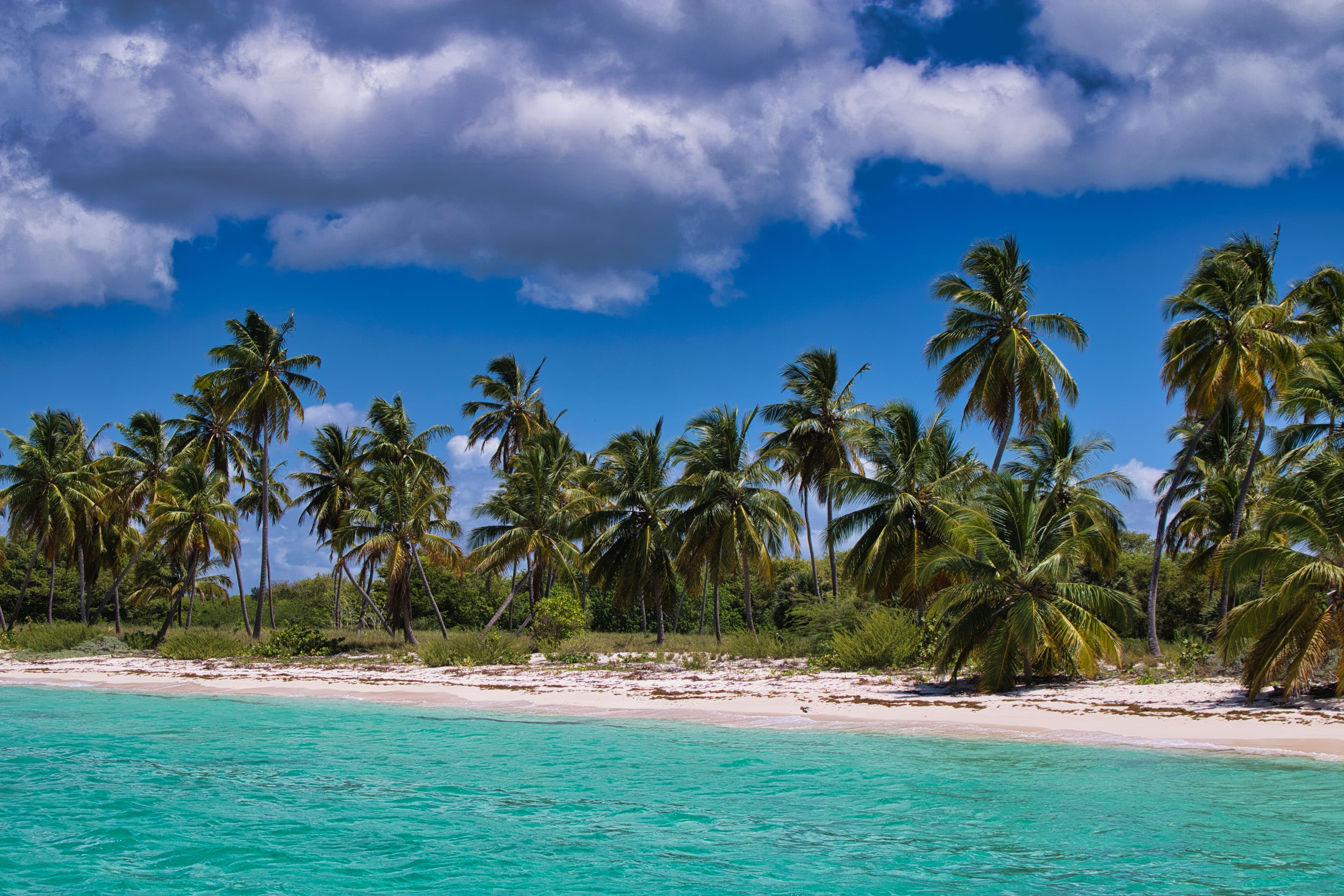 Grenadines Yacht Charter: St Lucia to Grenada (2026)