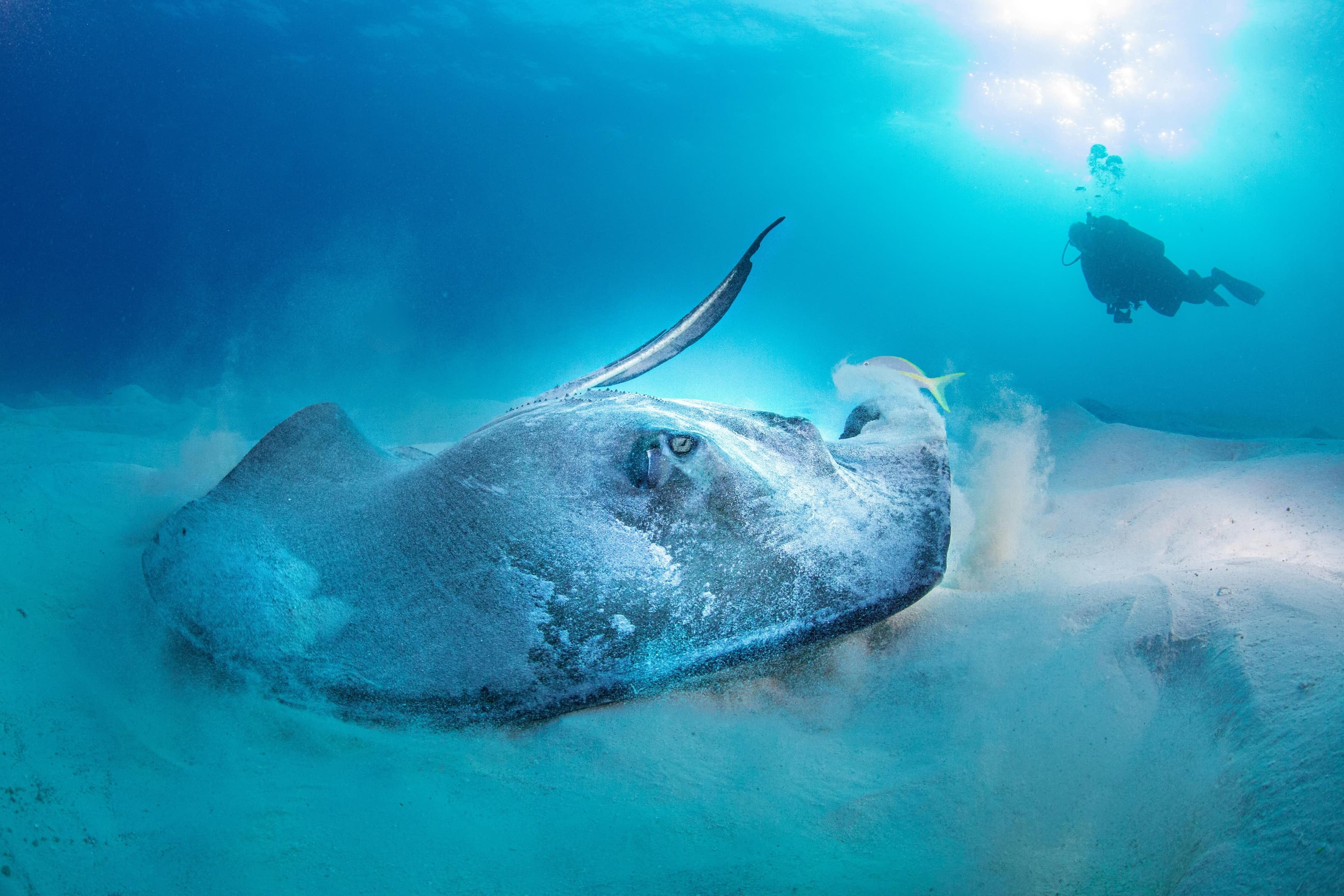 Frontier_Yachting_Bahamas_10.jpg