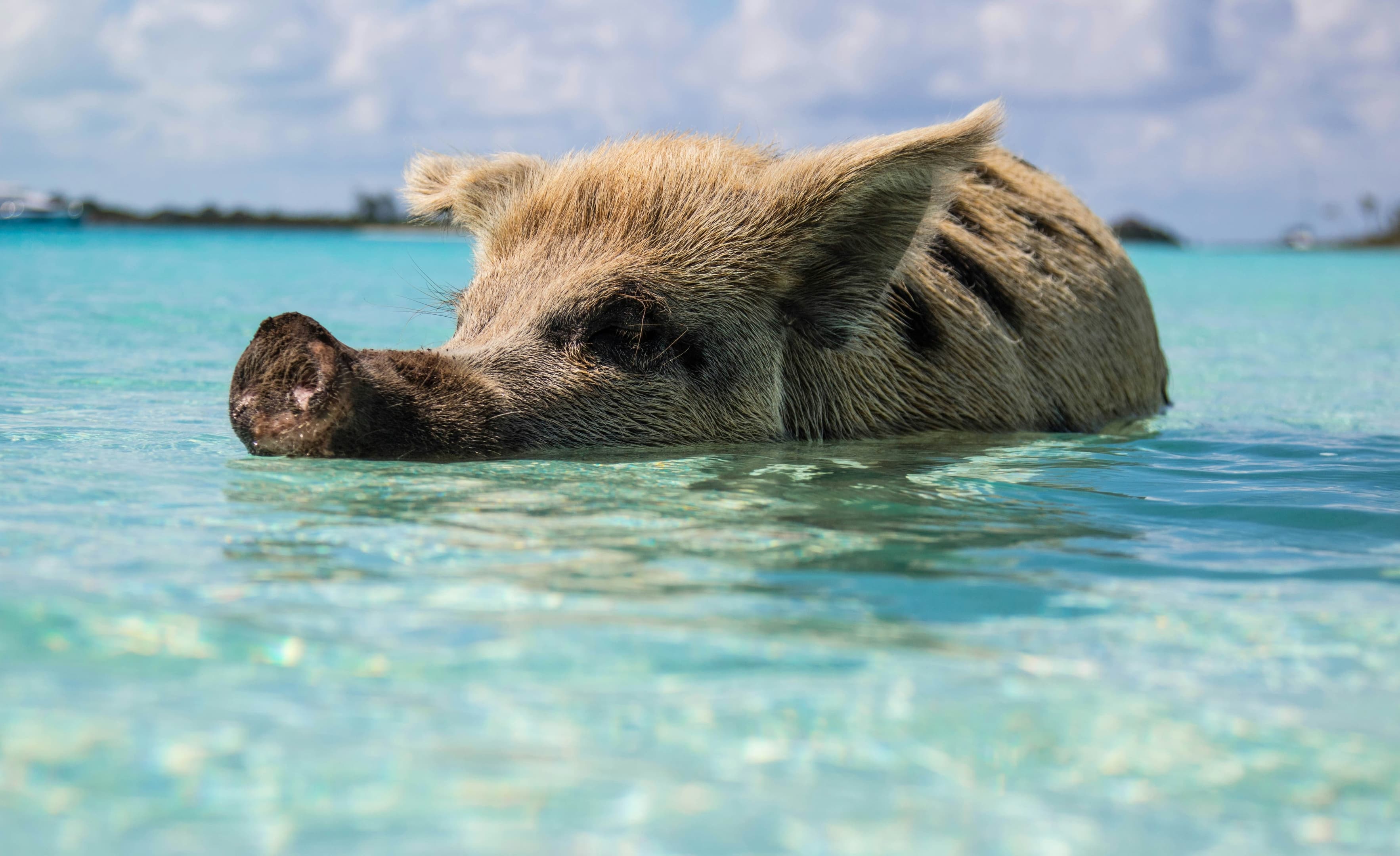 Frontier_Yachting_Bahamas_4.jpg