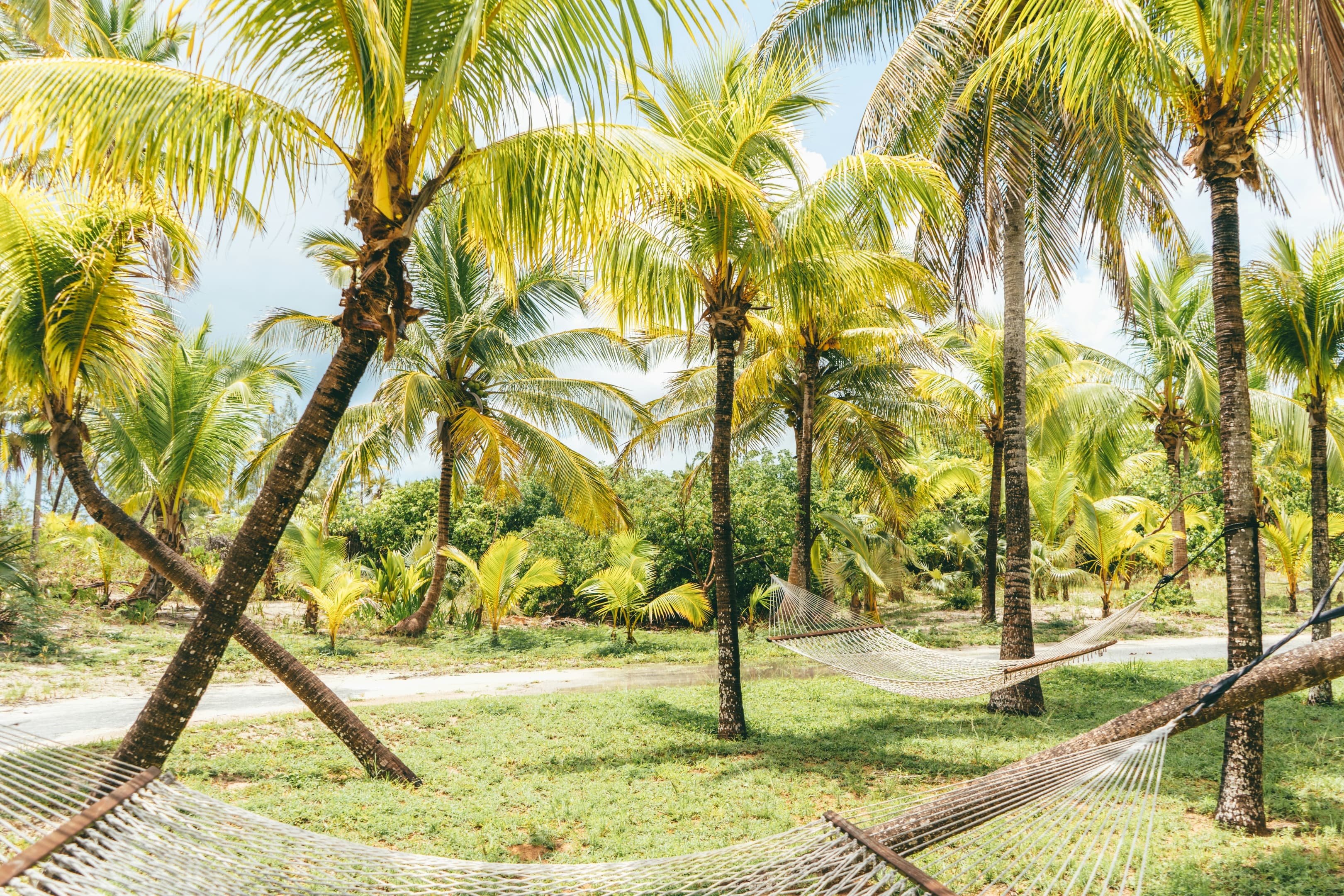Frontier_Yachting_Bahamas_7.jpg