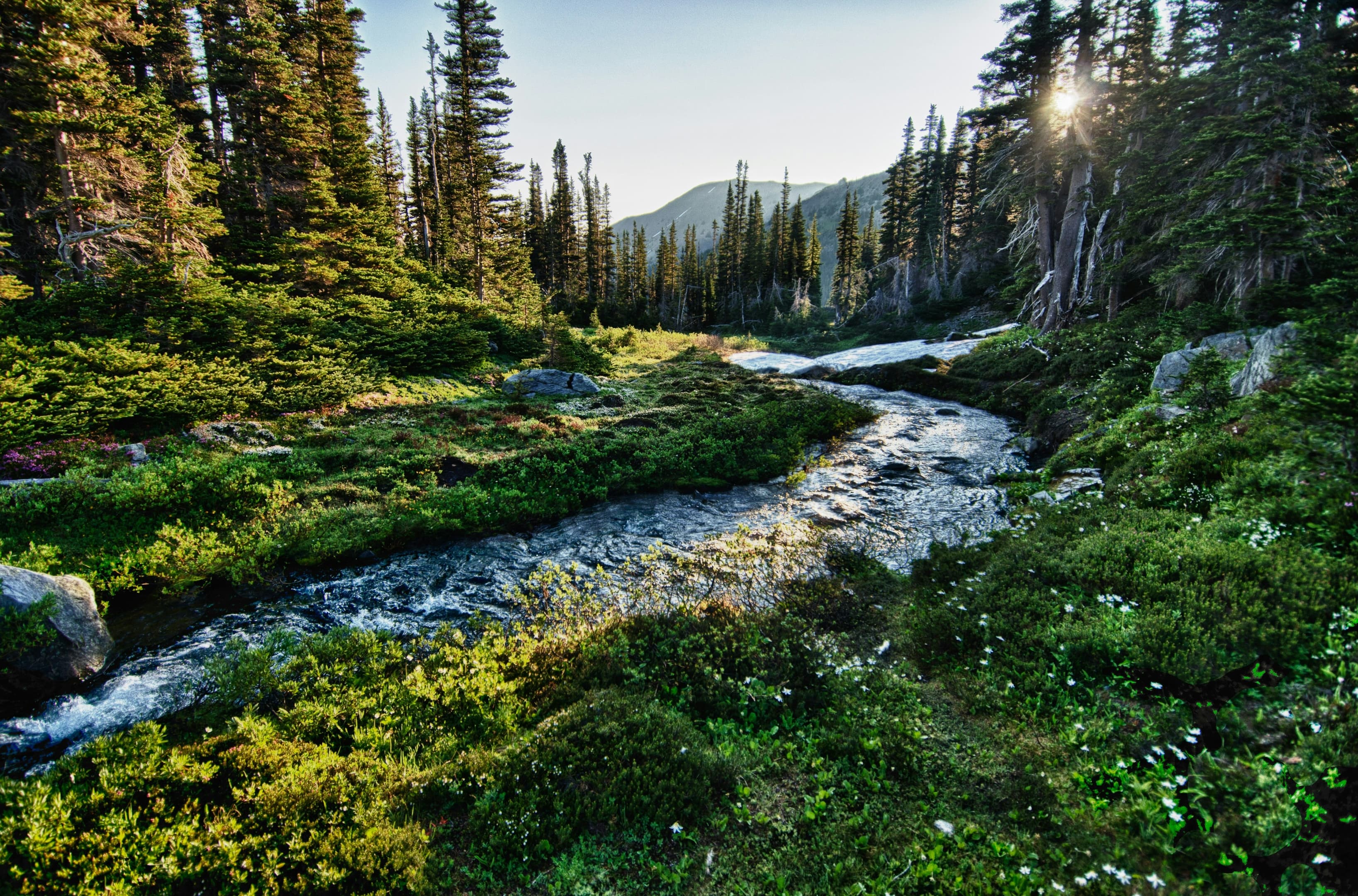 Frontier_Yachting_Pacific_Northwest_10.jpg