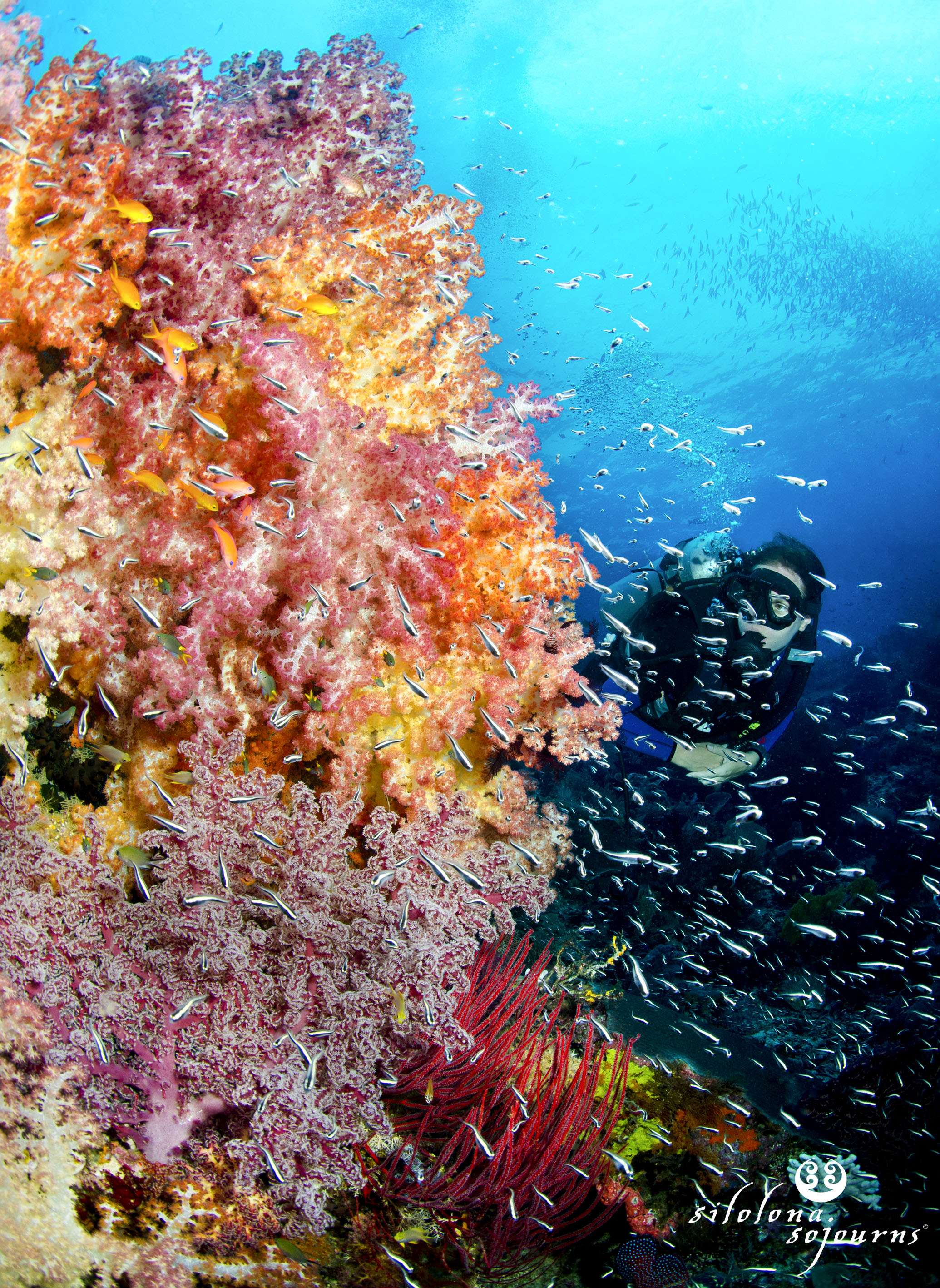 yachtPic18