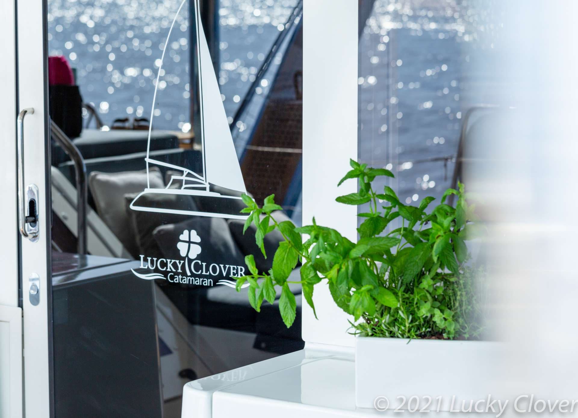 LUCKY CLOVER - Image 8