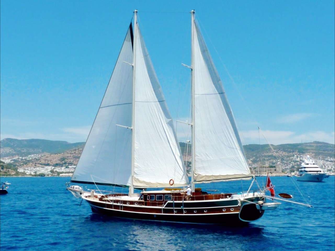 SERENAD - Image 11