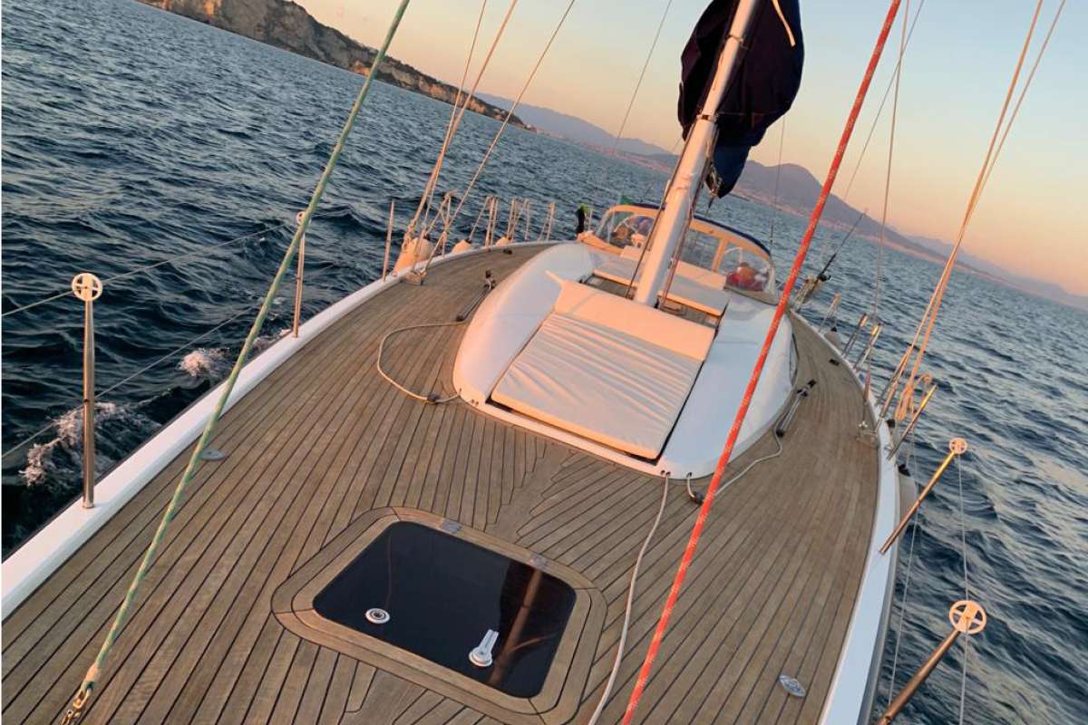 BLUE OYSTER - Image 13