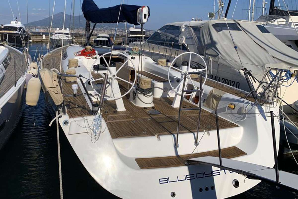 BLUE OYSTER - Image 14