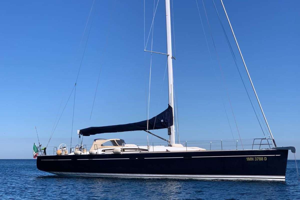 BLUE OYSTER - Image 4