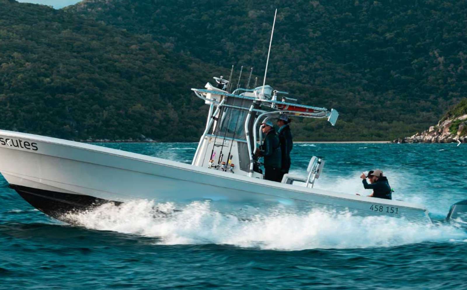 BELUGA - Image 11